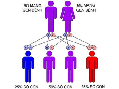 Hiểu biết về bệnh tan máu bẩm sinh để góp phần nâng cao chất...